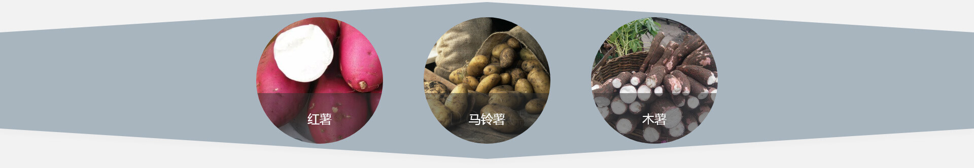 木薯淀粉设备