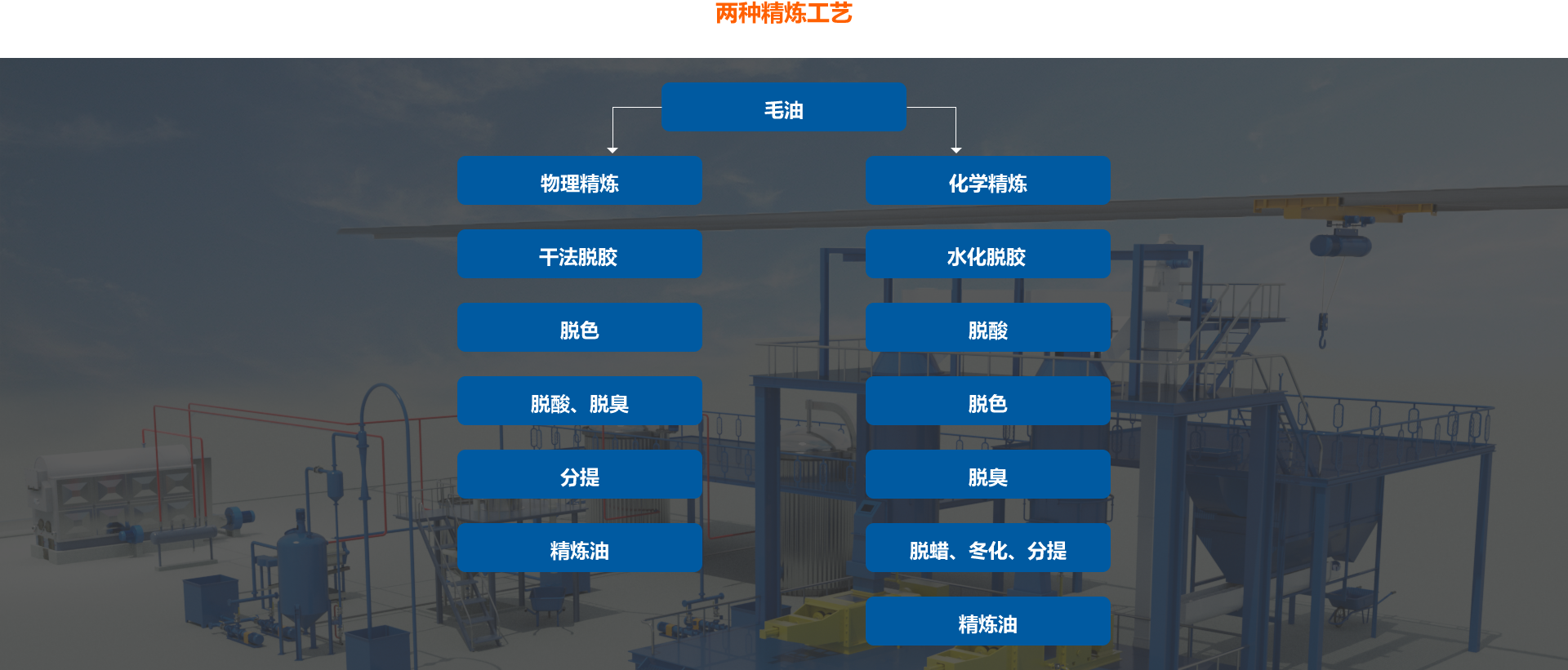 油脂精炼设备生产厂家