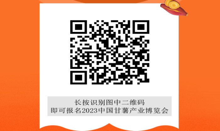 甘薯博览会