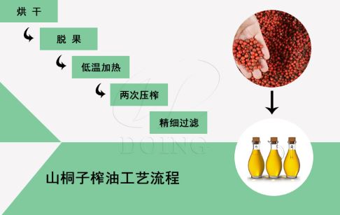 山桐子怎么榨油,山桐子油加工过程你了解多少?