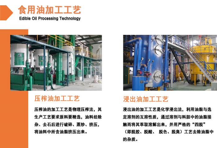 压榨与浸出工艺