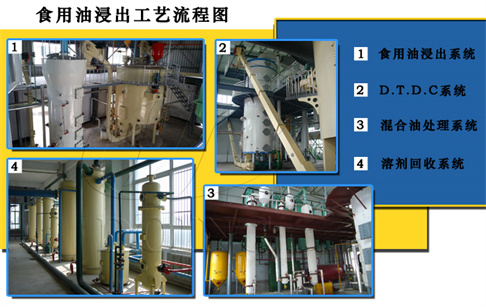 压榨,浸出两种大豆油加工工艺哪种比较好?