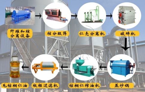 棕榈仁专用榨油机出油率高吗？如何选择棕榈仁油压榨设备？