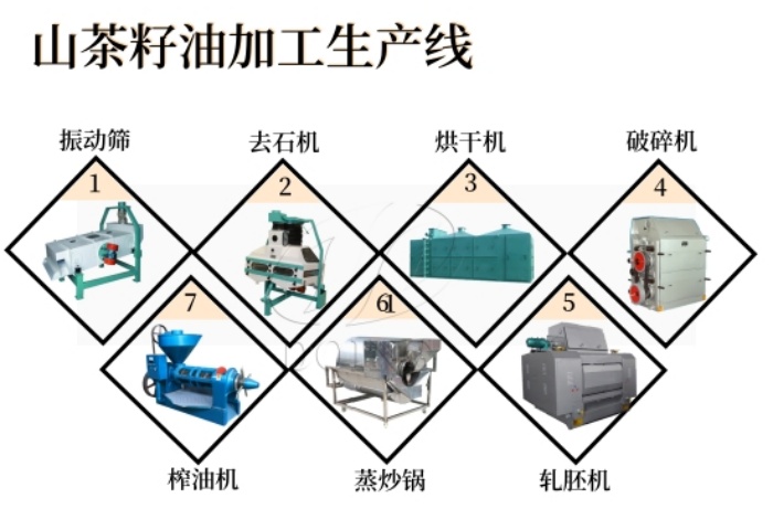 山茶油产线