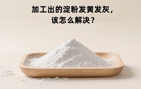 加工出的红薯淀粉发黄、发灰？该怎么解决？