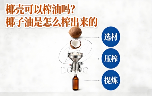 椰壳可以榨油吗?椰子油是怎么榨出来的