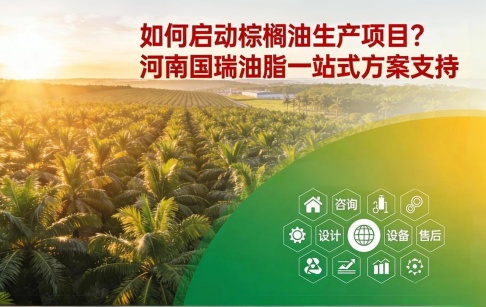 如何启动棕榈油生产项目？河南国瑞油脂一站式方案支持