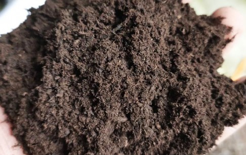 炭化出来的木炭粉如何深加工？三大方向提升产品附加值