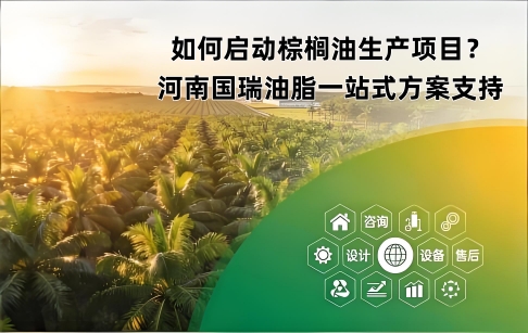 如何启动棕榈油生产项目？河南国瑞油脂一站式方案支持